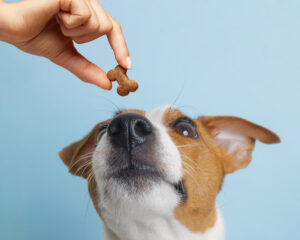 GettyImages-2223656176