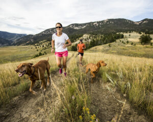 GettyImages-531132727-1